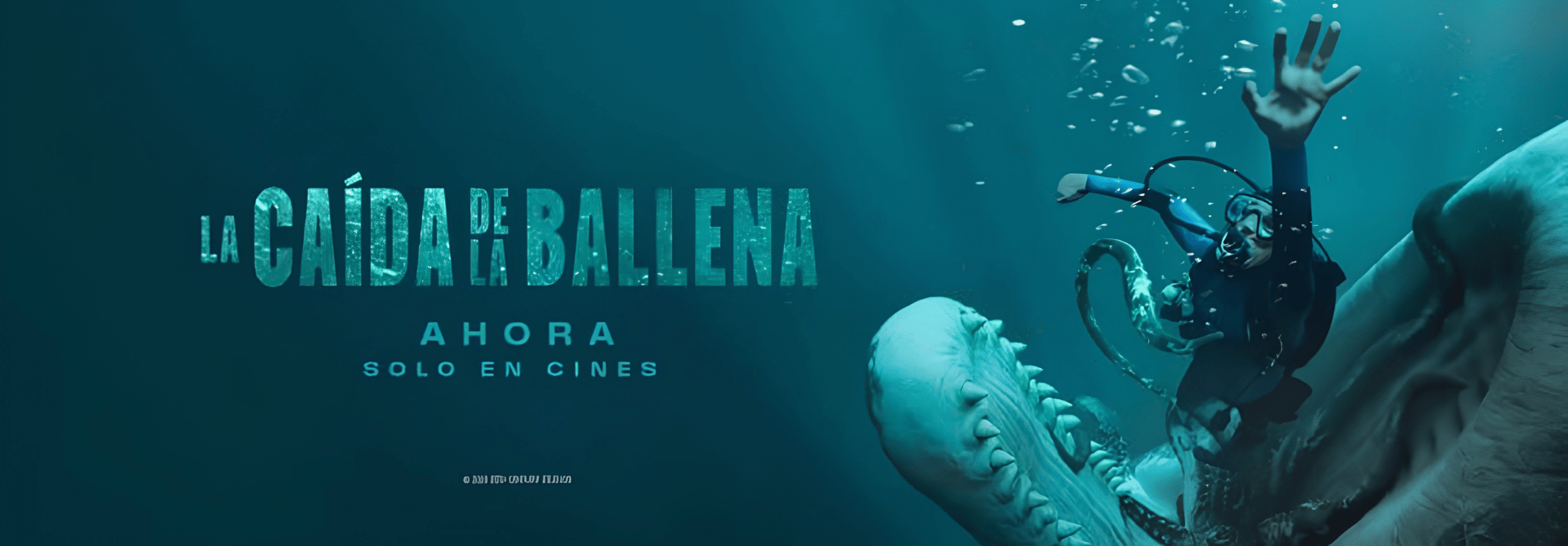 ballena